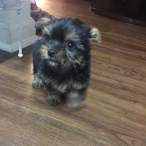 Meet your Posher, Fernanda